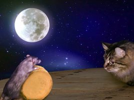 Мой маленький фотошоп с моими любимцами Борисом и Нельсоном