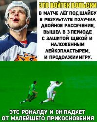 Сравниваем футбол, хоккей и регби: во что играют настоящие мужчины?