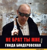 Что на Кубани происходит? Им в воду что-то подмешивают, что ли?