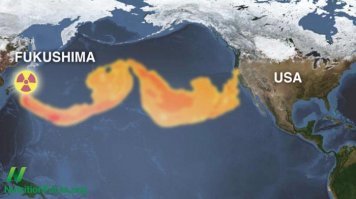 Может они тренируются перед грандиозной уборкой у себя дома.