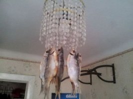 Фотографии с российских просторов