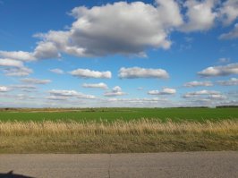Родные просторы: несколько характерных русских пейзажей