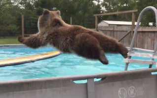 Эххх, хорошо!