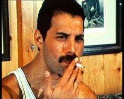 Чем обернулась для китаянки попытка украсть соты из улья