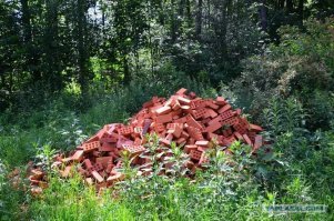 «Взгляд убийцы»: Двухметровый питон до смерти напугал зашедшего в гараж австралийца