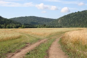 Родные просторы: несколько характерных русских пейзажей