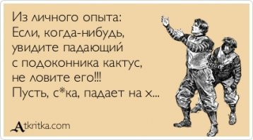 В Бразилии мужчина поймал упавшую с девятого этажа собаку