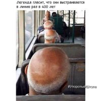 Утренний служебный автобус в Ватикан?