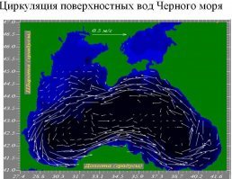 Часть говна и Крыму тоже достанется. Достаточно взглянуть на карты течений Чёрного моря... Прибрежные течения размазывают ВСЁ гавно по прибрежным водам вверх против часовой стрелки. В ОБЩЕМ ОТДЫХ НА ЧМ ЗАГНУЛСЯ... Турция форевер!!! Нам во все времена, начиная с Чернобыля диверсанты не нужны, своих рас*издяев хватало...  Впрочем "благодаря" Геленжику, Абжазия останется в этом году самым чистым курортом ЧМ, Если Грузия не поднасрёт...