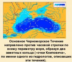 Часть говна и Крыму тоже достанется. Достаточно взглянуть на карты течений Чёрного моря... Прибрежные течения размазывают ВСЁ гавно по прибрежным водам вверх против часовой стрелки. В ОБЩЕМ ОТДЫХ НА ЧМ ЗАГНУЛСЯ... Турция форевер!!! Нам во все времена, начиная с Чернобыля диверсанты не нужны, своих рас*издяев хватало...  Впрочем "благодаря" Геленжику, Абжазия останется в этом году самым чистым курортом ЧМ, Если Грузия не поднасрёт...