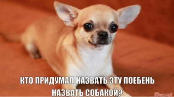Картинки с надписями для настроения