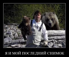 Вот так выходишь утром из палатки, а там медвежонок бегает.....