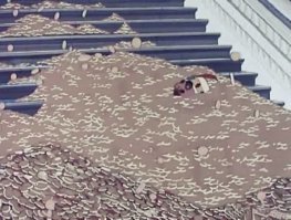 Дети-мажоры, не знающие границ: что вытворяет "золотая молодежь"