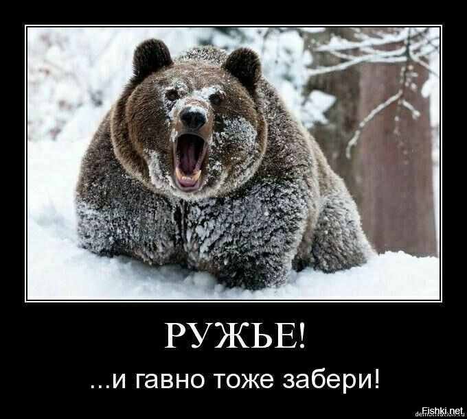 Не нужно бежать быстрее медведя....нужно бежать быстрее друга )))))