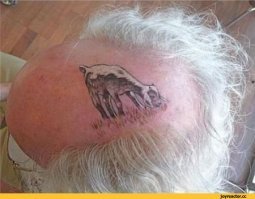 Лысые - короли и королевы мира