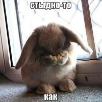 Ожидание и реальность: чем отличаются японки из аниме и истинной жизни?