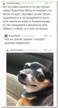 Пост хорошего настроения