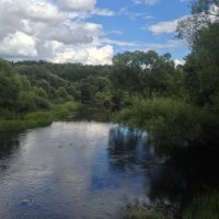 Сегодня... Калужская область, Боровский район, река Протва ...