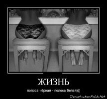 Девушки. Вид сзади