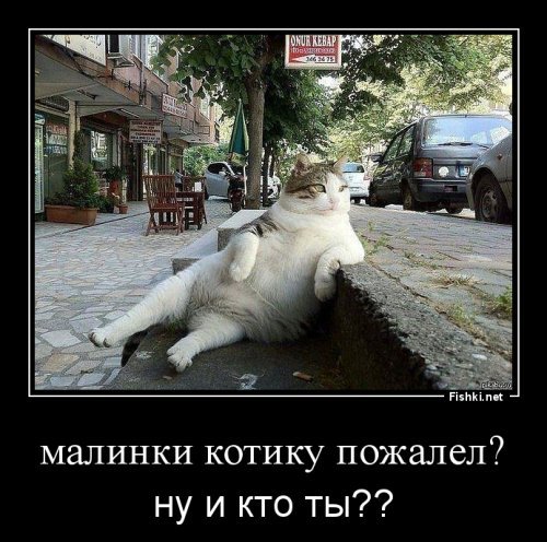 Пес ест клубнику, ты не ты когда голоден