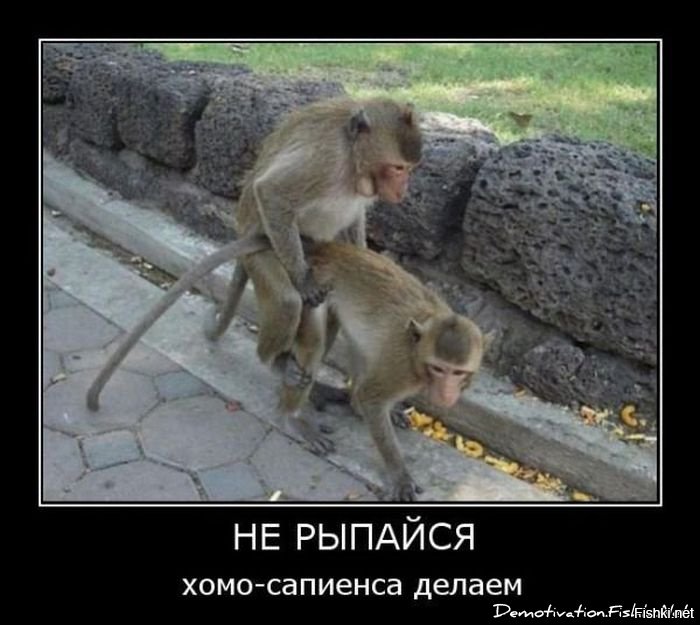 "Изнасилованная у памятника Пушкину" гражданка Германии дала дикое интервью