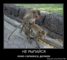 "Изнасилованная у памятника Пушкину" гражданка Германии дала дикое интервью