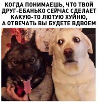 Хоть и не про боксеров...:)