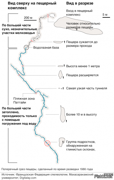 Маск и попытка