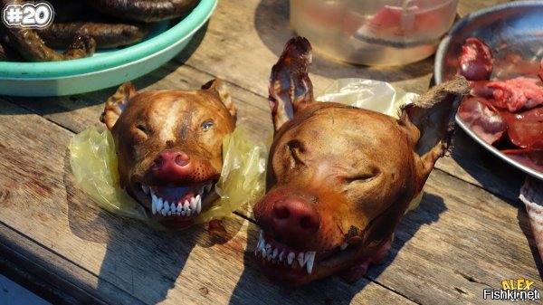 Хрень какая то так и не понял что отвратительного в вполне съедобных блюдах?
Это же не