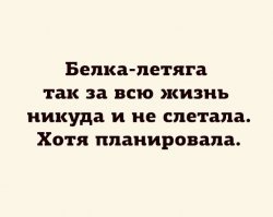 Слишком буквальные приколы