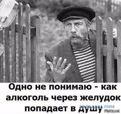 Почему книга умерла