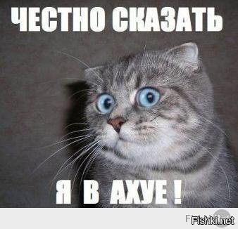 С запретом Знамени Победы в Перми разберутся федералы