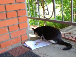 Где-то в Казани