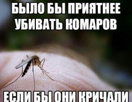 Парень снял видео, на котором жёстко троллит комара