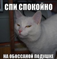 Парень снял видео, на котором жёстко троллит комара