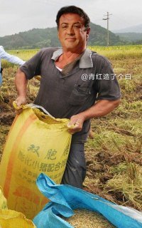 Некоторые оч толково собраны. Но Роберт Дауни явно не в своем теле! На его месте должен был быть он!!