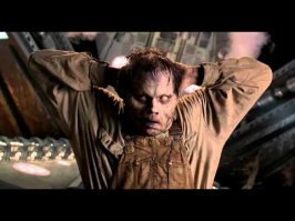 Как избавиться от мух на даче: австралийская мухоловка своими руками