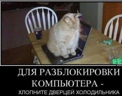 Кот сделал телевизионное интервью историка незабываемым