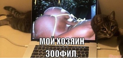 17 снимков, на которые придется взглянуть дважды