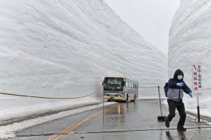 "Япония достаточно теплая страна"
Ну-ну)))

А не надо на японцев равняться. У них культура совсем другая.