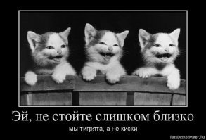 "Досмерти" милые и смертельно опасные животные