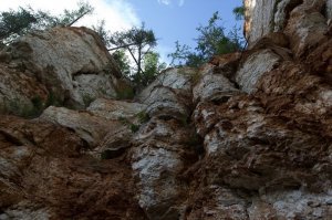 чего то тут какие то лица ...