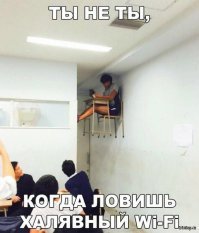 Смекалке этих людей можно только позавидовать