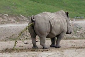 "Я ни о чём не жалею. Вы видели нашу алкашню?"