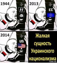 Миллионы гривен найдены в лесу под Днепром