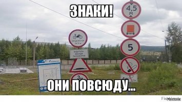 Молодоженам удалось быстро уклониться от падающей на них ветки дерева