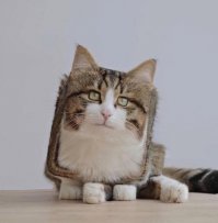 Десятка фактов, подтверждающих безумие Калигулы