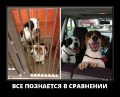 Подборка автомобильных приколов