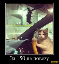 Подборка автомобильных приколов