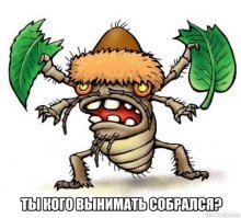 Оставьте уже насекомых в покое!!!